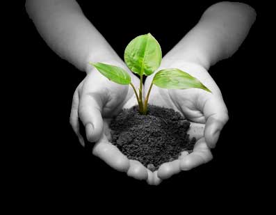 Informatique et outils numériques pour thérapeutes et indépendants